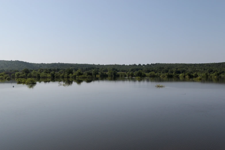 a large body of water surrounded by green trees