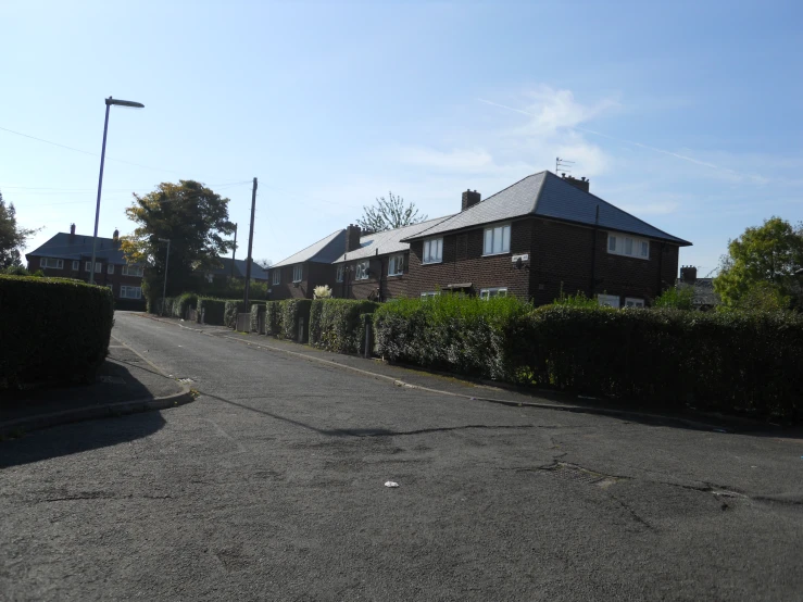 a wide residential street lined with hedges