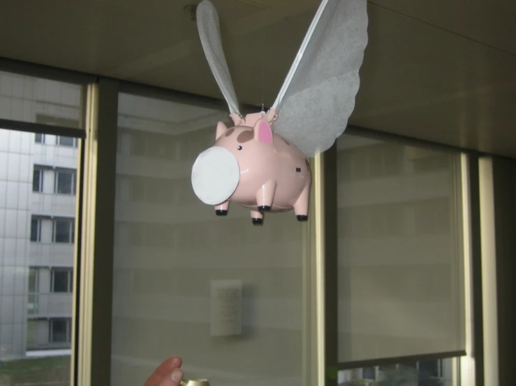 a pig in the form of a erfly with wings