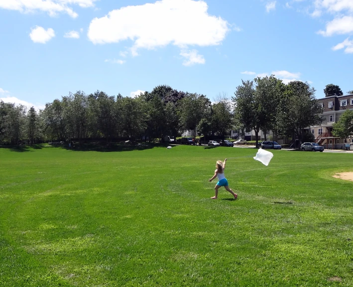 a person walking with a kite through a field