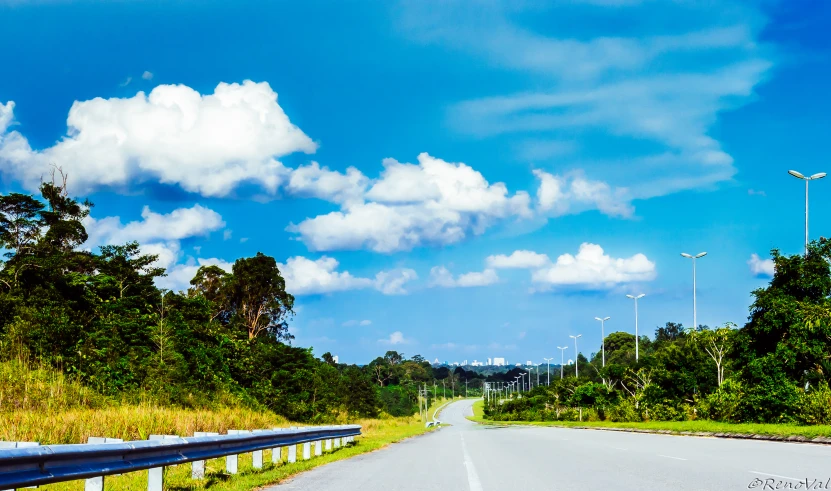 a road lined with trees with tall white clouds in the background