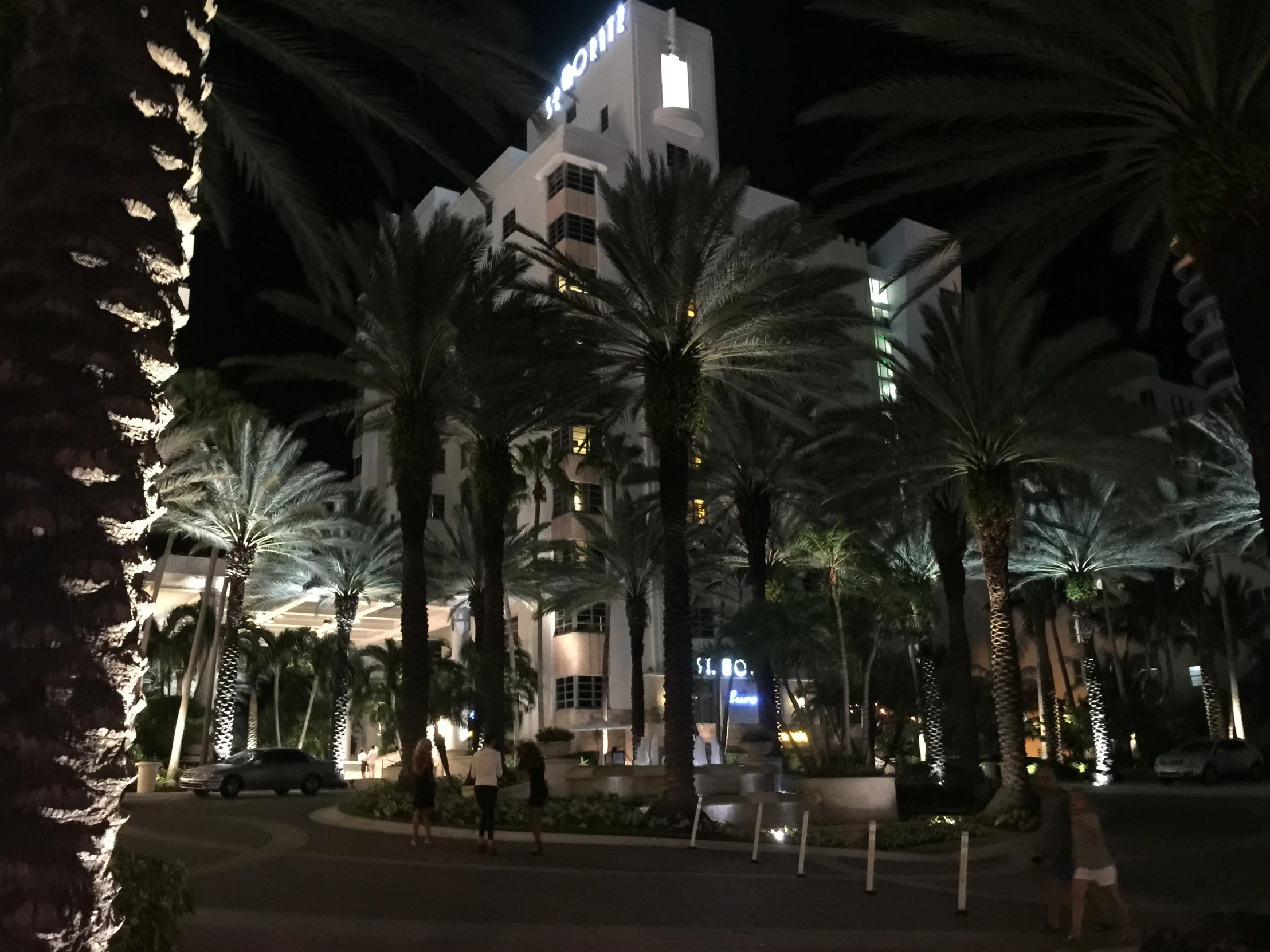 a tall building with palm trees in the foreground