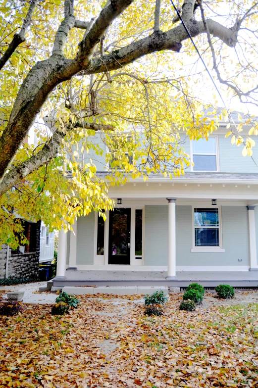 white single family home in residential neighborhood surrounded by leaves