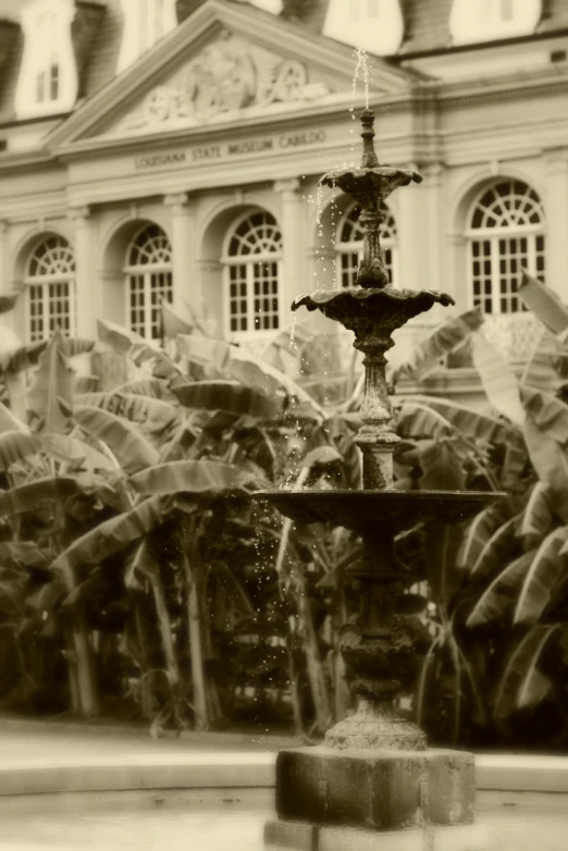 a fountain outside an old european building with plants in the foreground