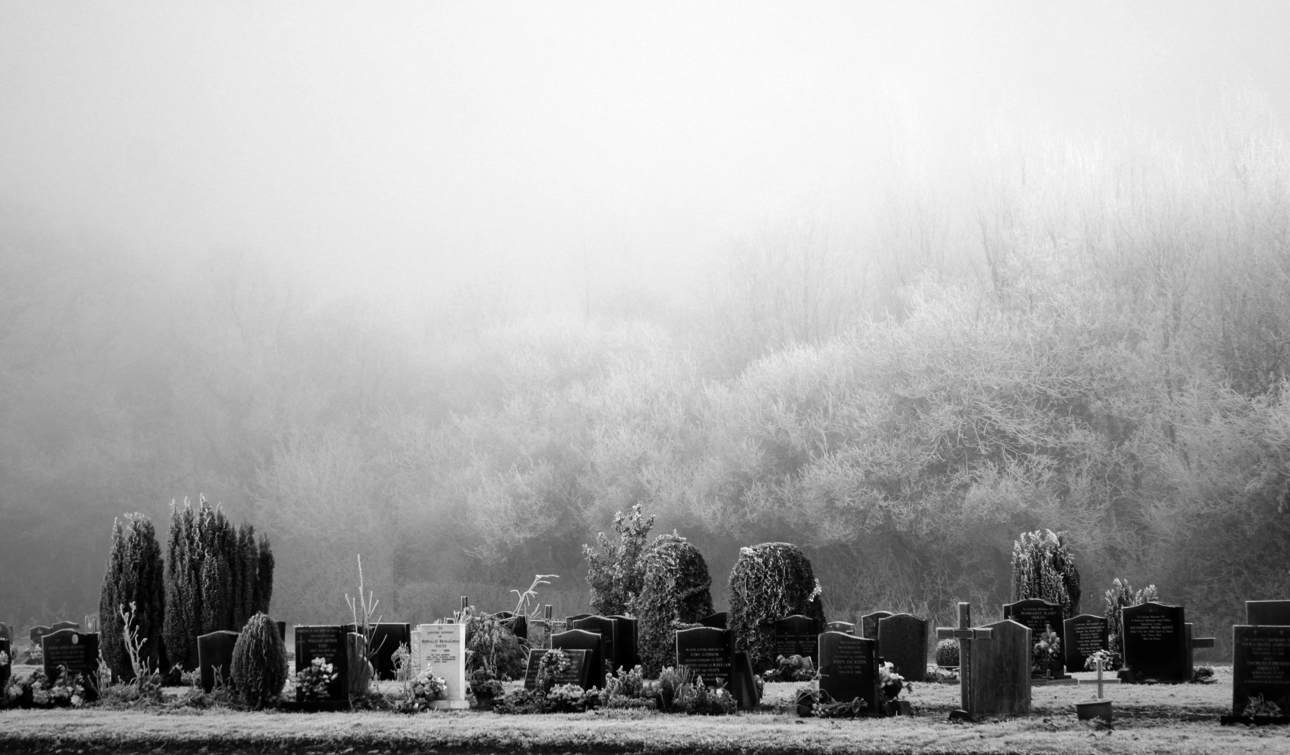 an open area with tombstones in it on a foggy day