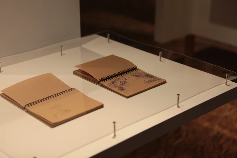 two notebooks on display at an art exhibit