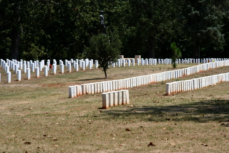 several rows of graves are in the grass