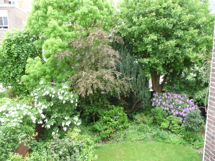 a park in the middle of trees and bushes