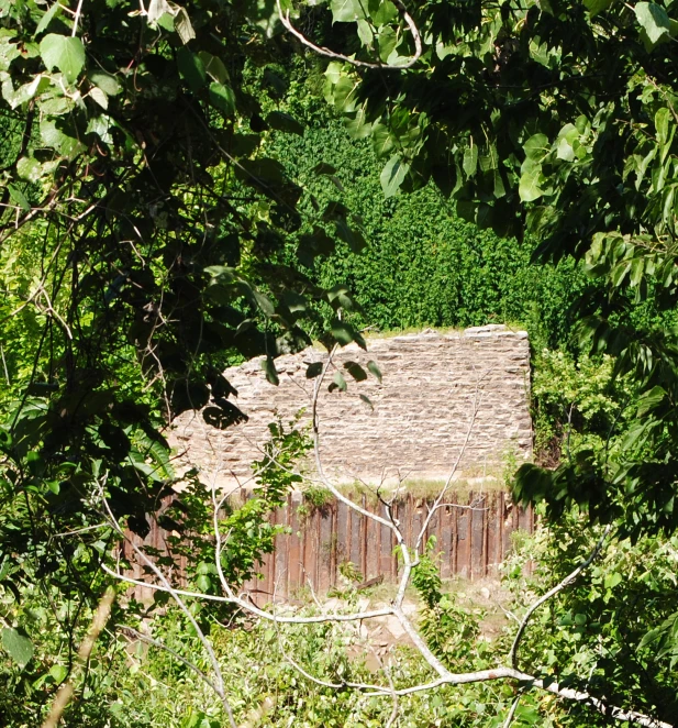 a barn surrounded by tall trees near the forest