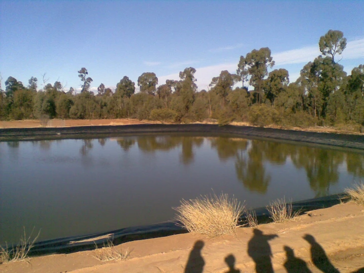 three shadows on the ground near water and trees