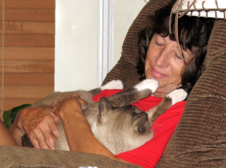 woman sitting in chair with cat, looking up