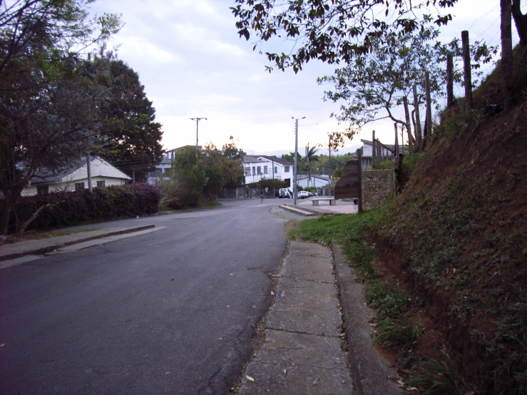a road lined with lots of bushes on both sides of the street
