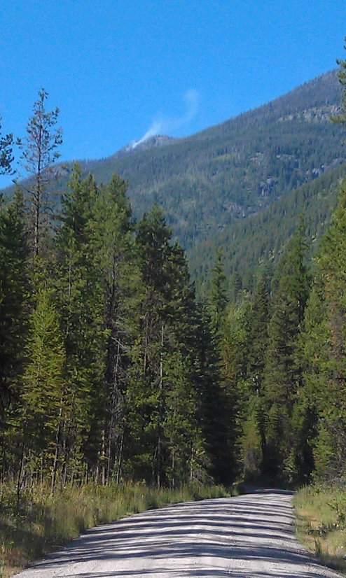 a dirt road in the middle of some trees