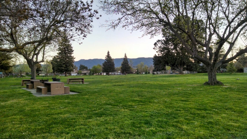 some benches in the middle of the grass