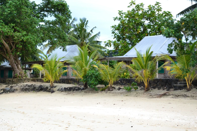 a beach with several houses near some palm trees