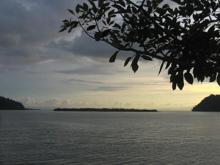 the sky and water are filled with small trees