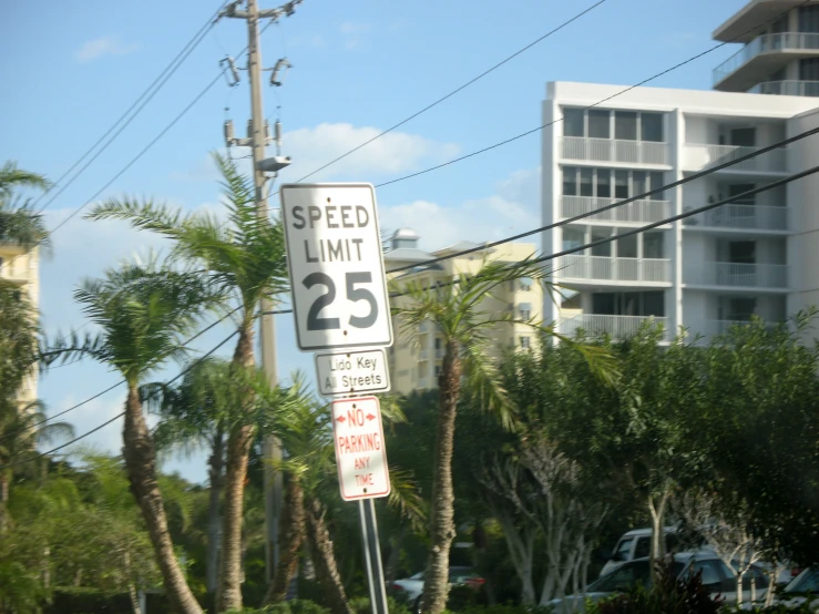 a speed limit sign next to palm trees