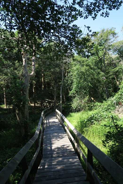 an image of a walkway going over a bridge