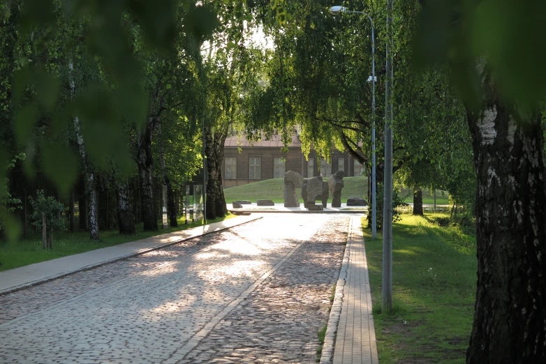 an empty street between two trees with one road crossing