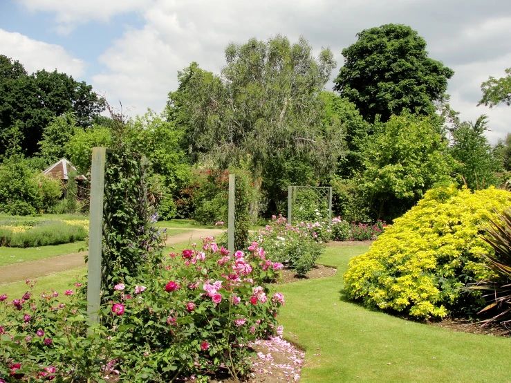 garden with large variety of flowers in various stages of blooming