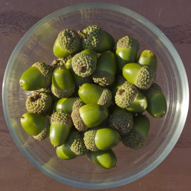 an overhead view of a bowl of green fruits