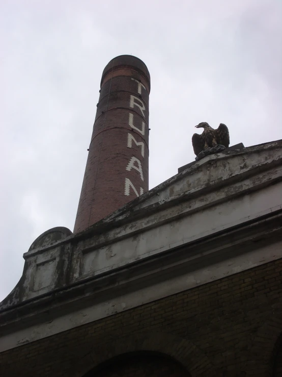 the two birds are perched on top of the building