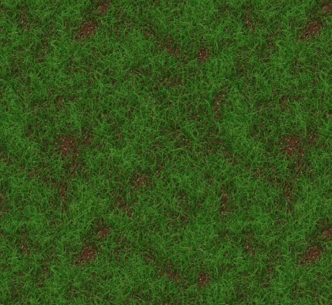 closeup po of a patch of green grass