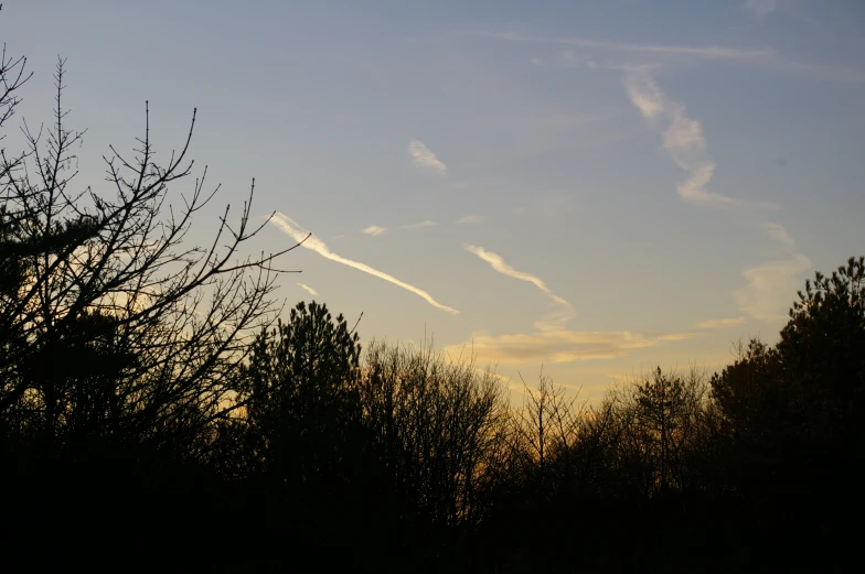 there is a view of trees and a plane going by