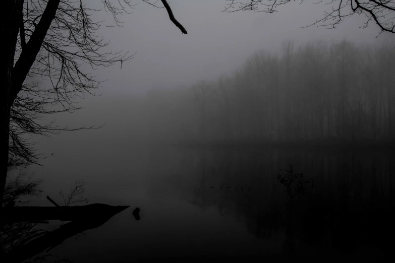 dark woods and a body of water surrounded by fog