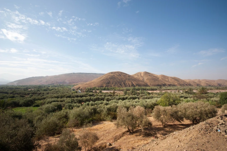 a field with mountains in the background