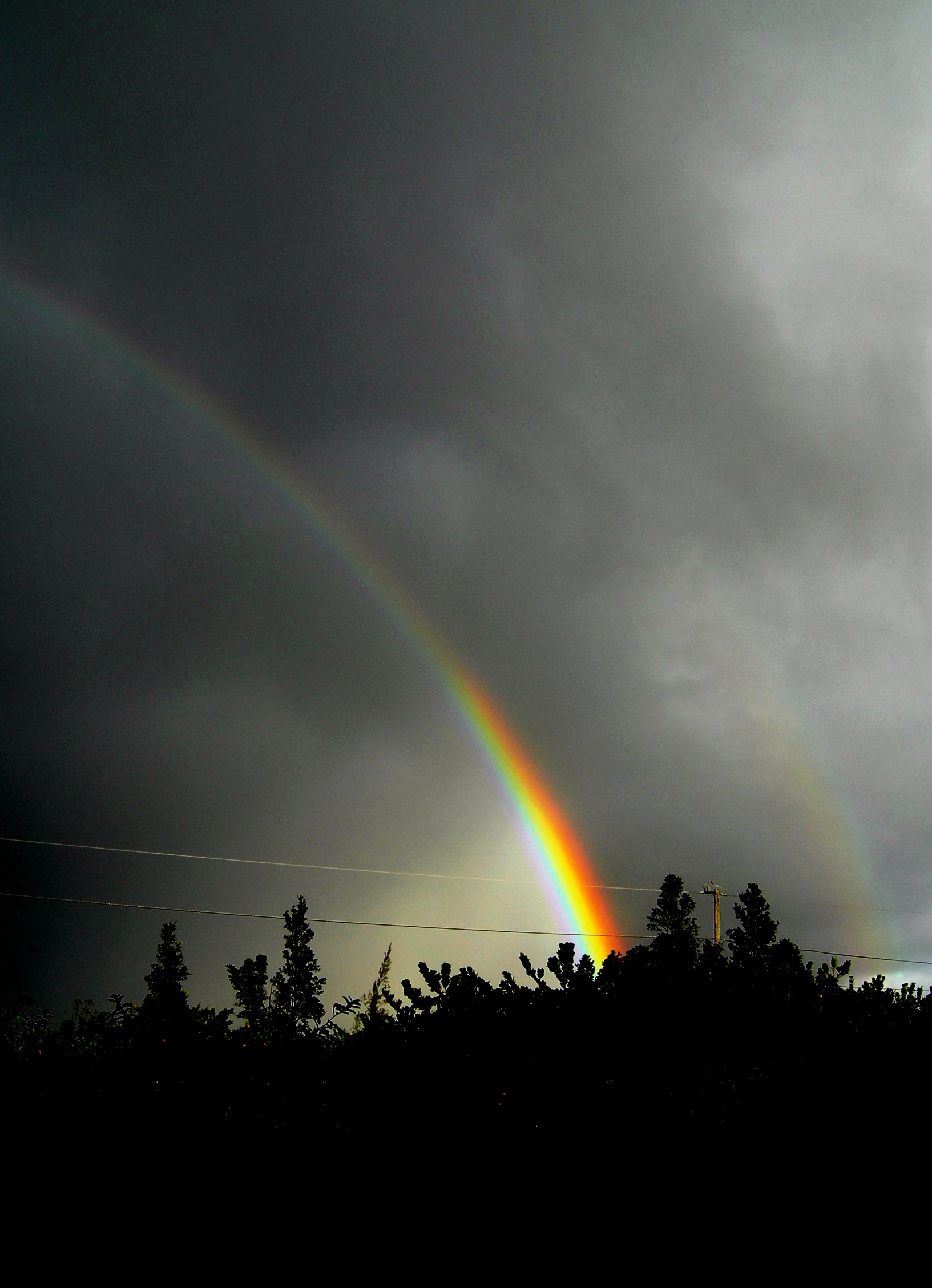 two rainbows shining in the sky behind some trees