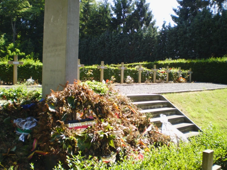 a grave and marker with many plants on it