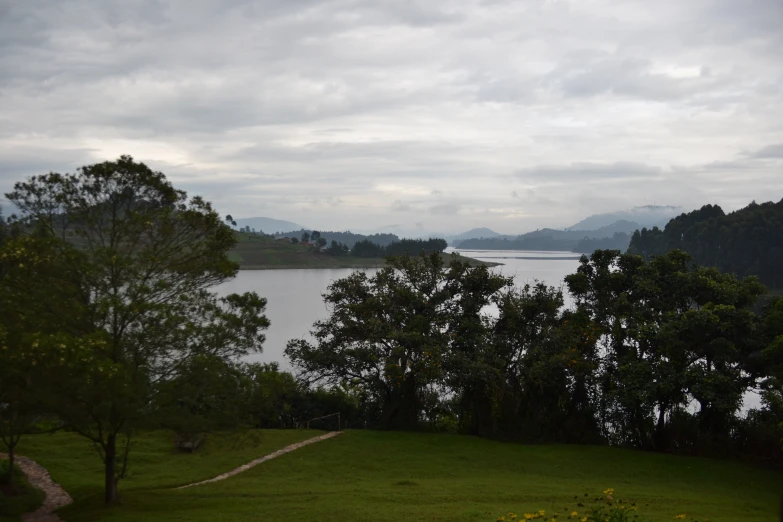 a lake that has trees near it