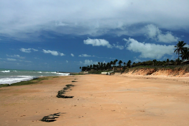 a large sandy beach with a few green palm trees