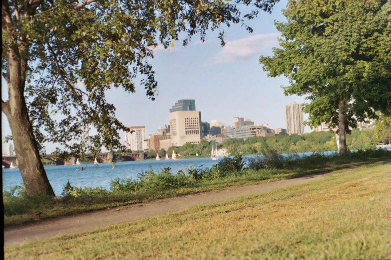 a man sits by the water in front of the city