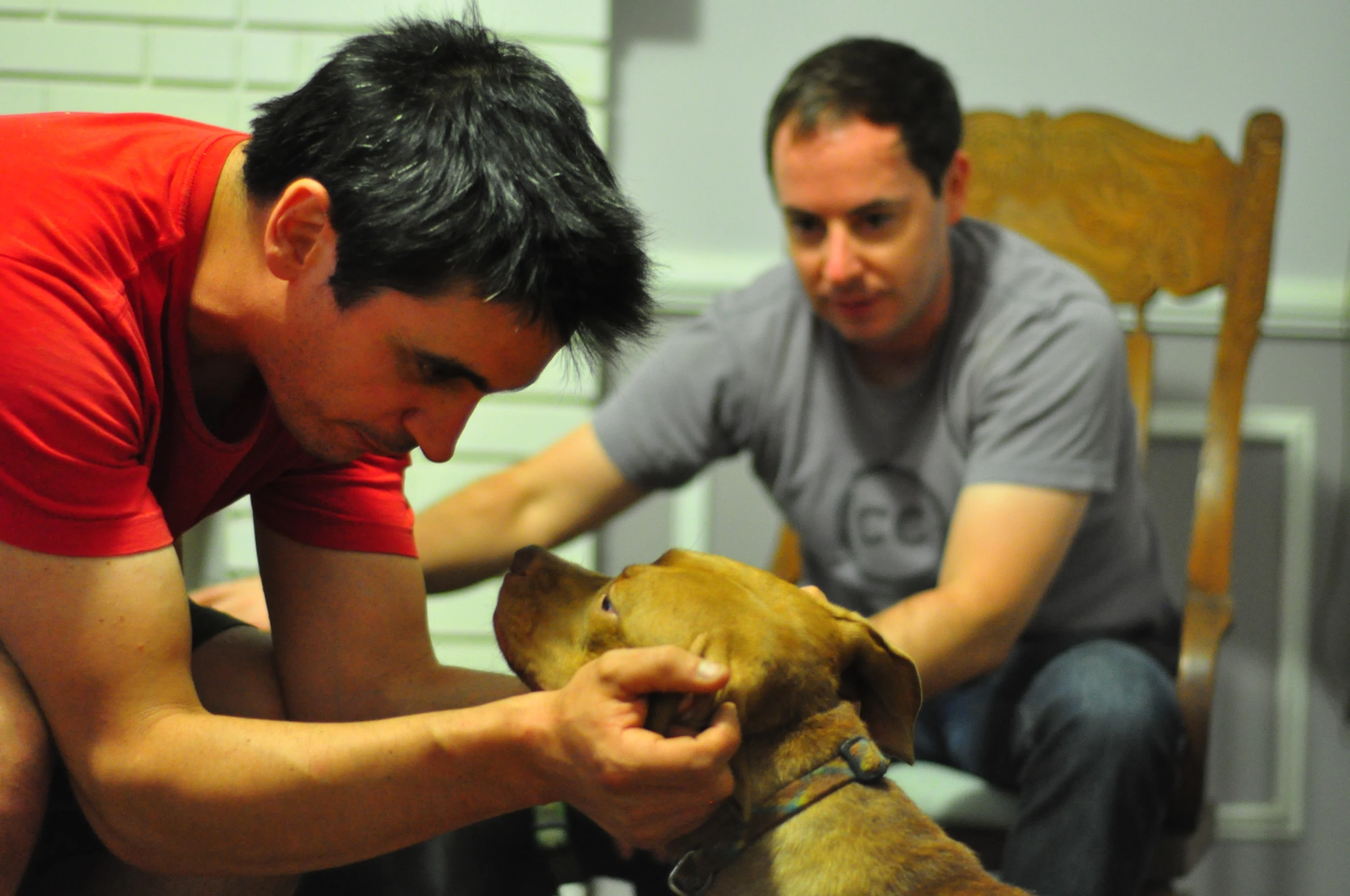 two men sitting in chairs petting a dog with one hand