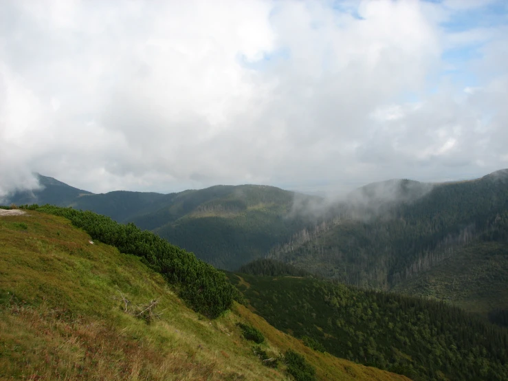 the green hills are covered by clouds and grass