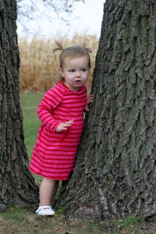 a small  is standing next to two large trees