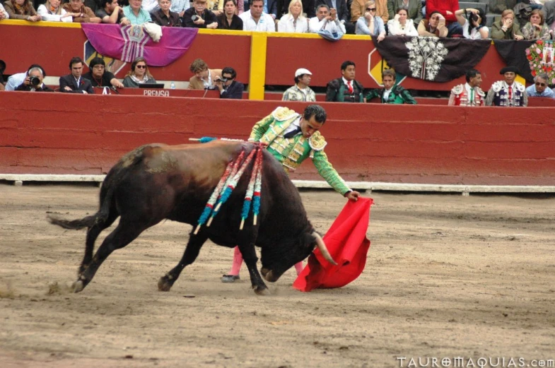 man in green jacket riding on the back of a brown bull