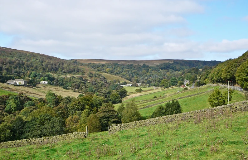 a grassy field covered with trees and surrounded by hills