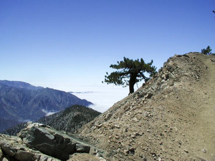 an outdoor scene is seen with a mountain peak and tree