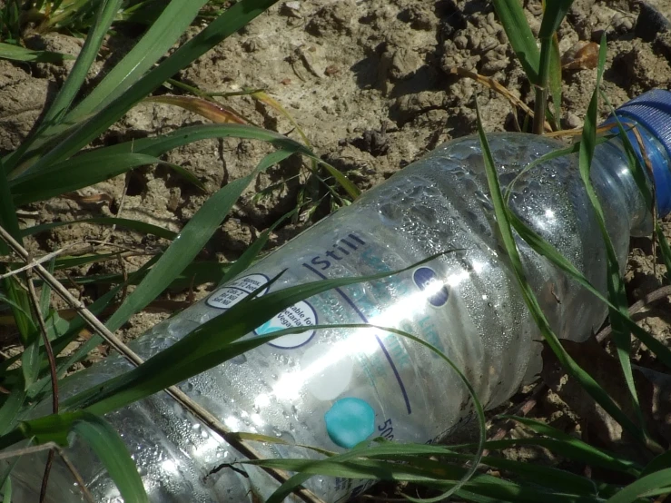 the water bottle is laying on the ground in the grass