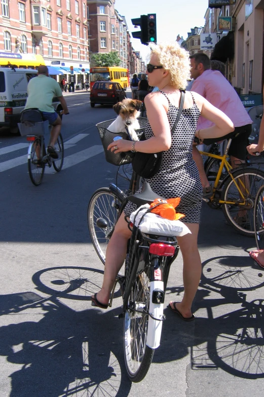 a person riding a bike with a dog in the basket on the back