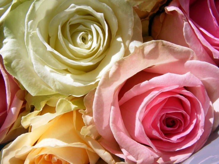 a bouquet of flowers with some white and pink flowers