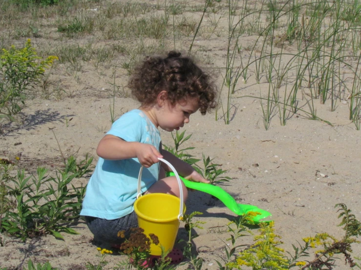 a little boy plays in the sand and weeds