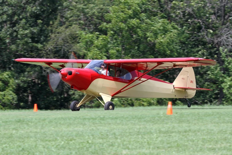 a single engine airplane in a field with an orange cone