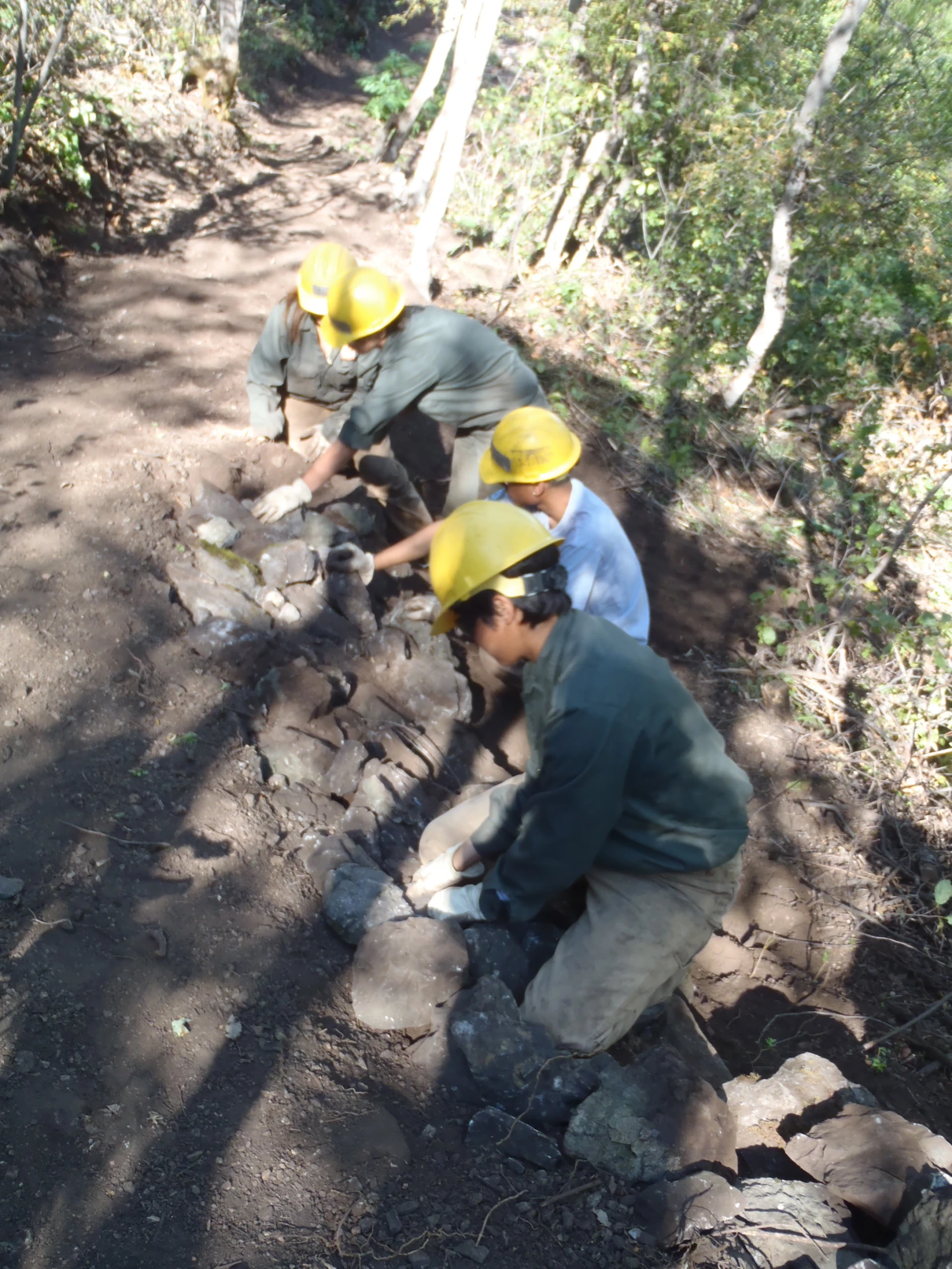 two men are looking at some rocks in the woods