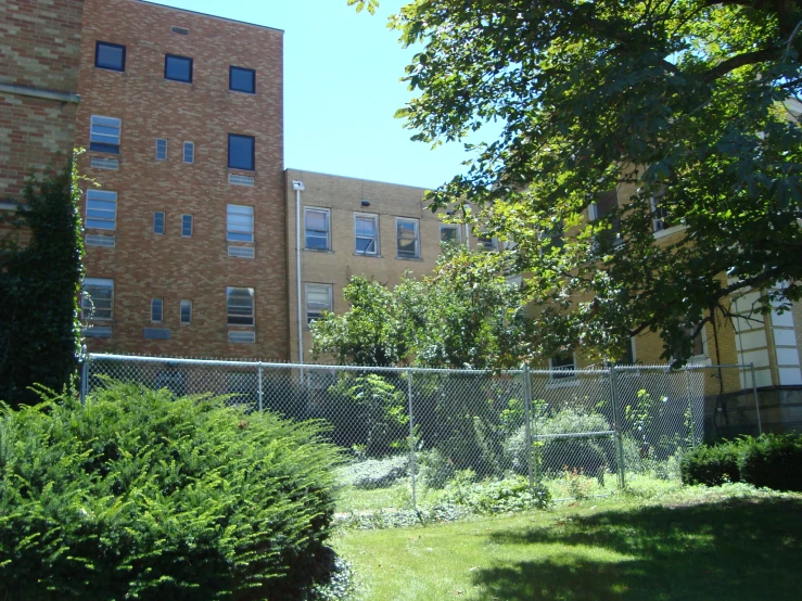 a building with tall windows on one side and plants on the other