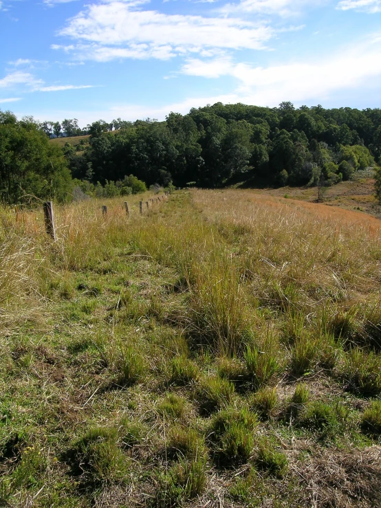 an open field with no vegetation on it