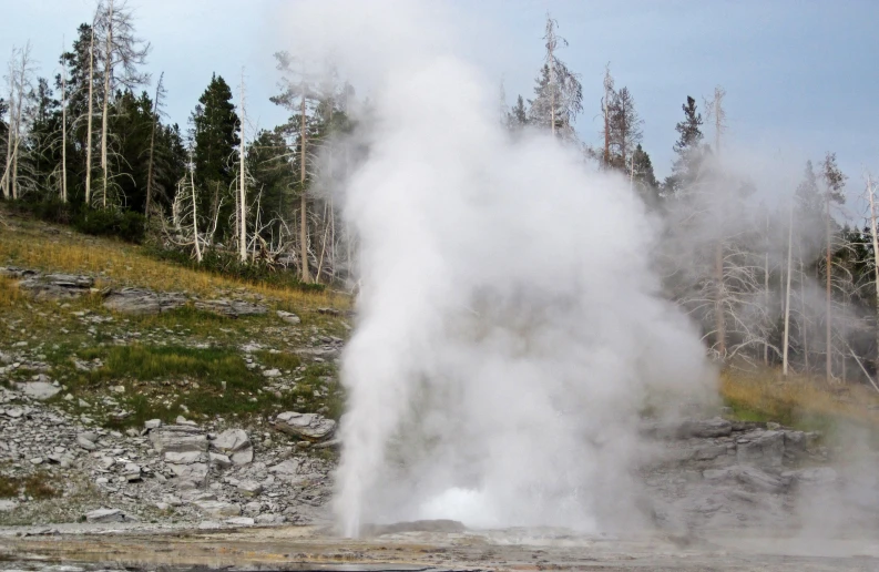 the small water jet is in the middle of the ground